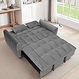 65-Inch Loveseat with Pull Out Sleeper Couch