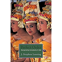Perfect Order: Recognizing Complexity in Bali (Princeton Studies in Complexity Book 22) book cover