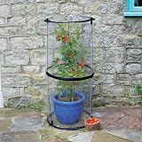 Tierra Garden Haxnicks Pop-Up Tomato Cloche 50 x 50 x 110 cm Transparent view 5