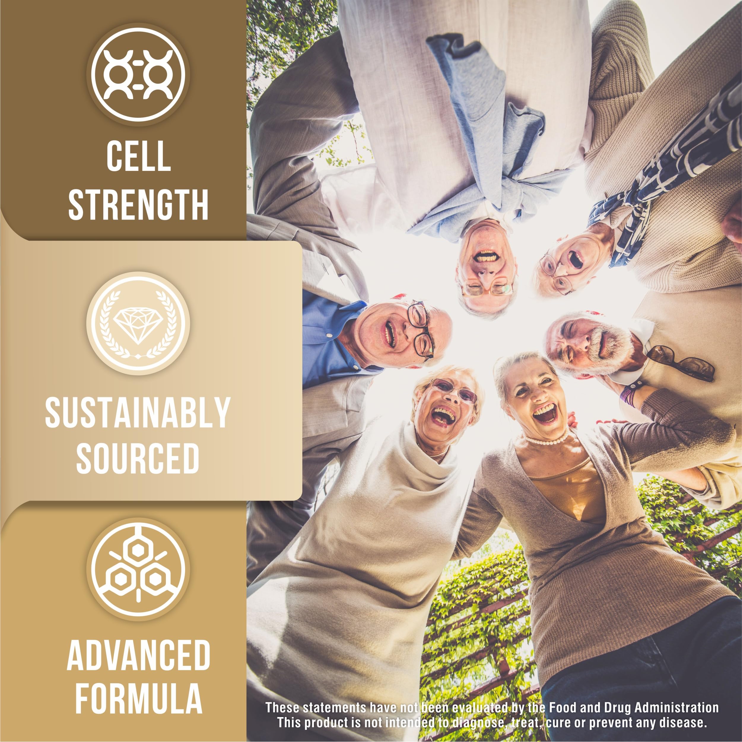 TruQuest Nutrition Premium Fucoidan Extract Immunity Supplement with Two Types of Highest Purity Algae Mozuku and Mekabu 120 Vegetable Capsules - for Optimal Health and Immunity