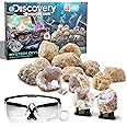 Discovery Kids Toy Mystery Crystals Geode Excavation Kit 14pc