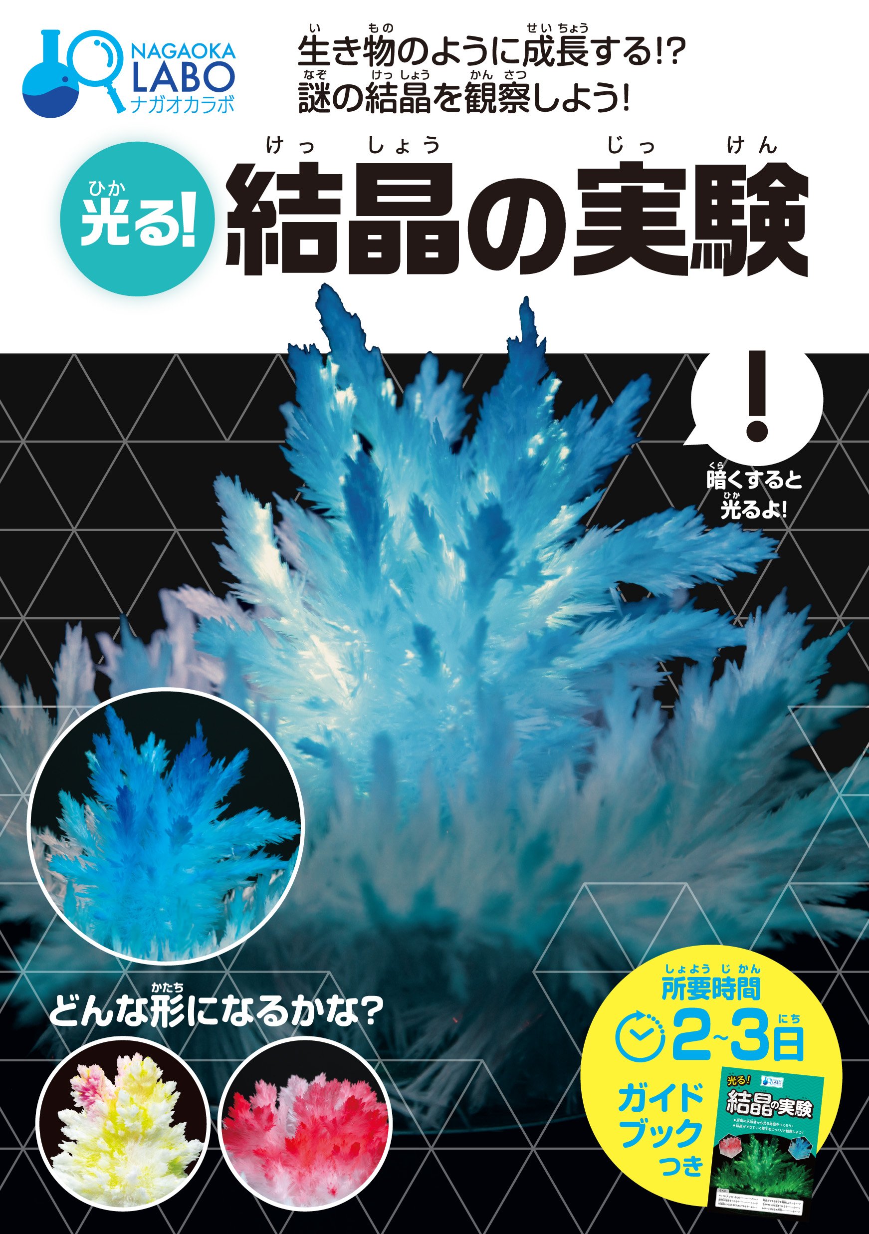 光る 結晶の実験 Nagaoka Labo 永岡書店編集部 本 通販 Amazon