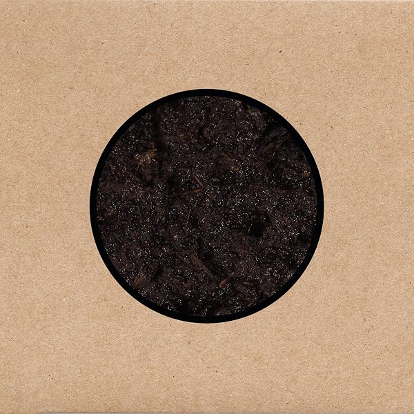 Filth [Disco de Vinil] | Amazon.com.br