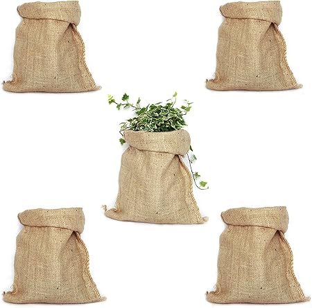 TBG Pack 5 Sacos de Yute 100% Natural. Bolsas Ecológicas Ideales ...