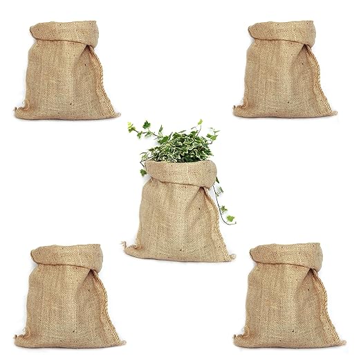 TBG Pack 5 100 Natural Jute Bags Vintage Green Ideal for Kitchen