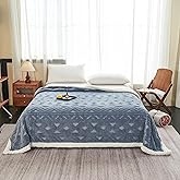 LEVINIS Sherpa Throw Blanket 60 × 80 inch, 440 GSM Boho Sherpa Fleece Blanket for All Season, Warm and Cozy Blankets for Couch Sofa Bed Office Camping, Blue Grey