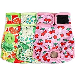 Female Dog Diapers - Premium Reusable Diapers for