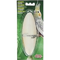 Living World Cuttlebone with Holder for Cage Bird, 6 to7-Inch, Large