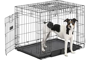 MidWest Homes for Pets Ovation Double Door Medium Folding Metal 76.2cm Long Dog Crate with Divider Panel, Floor Protecting Fe