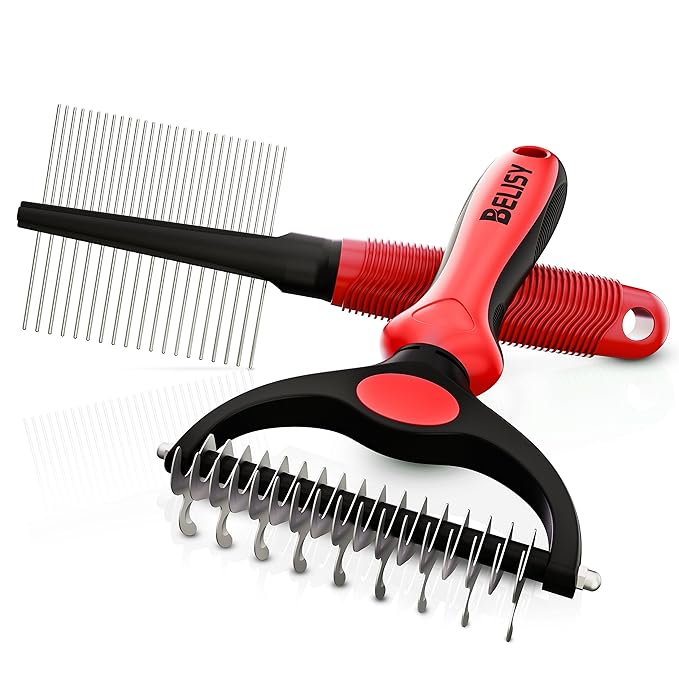 BELISY Hundebürste/Katzenbürste mit Fellkamm I Perfekte Fellpflege im Set