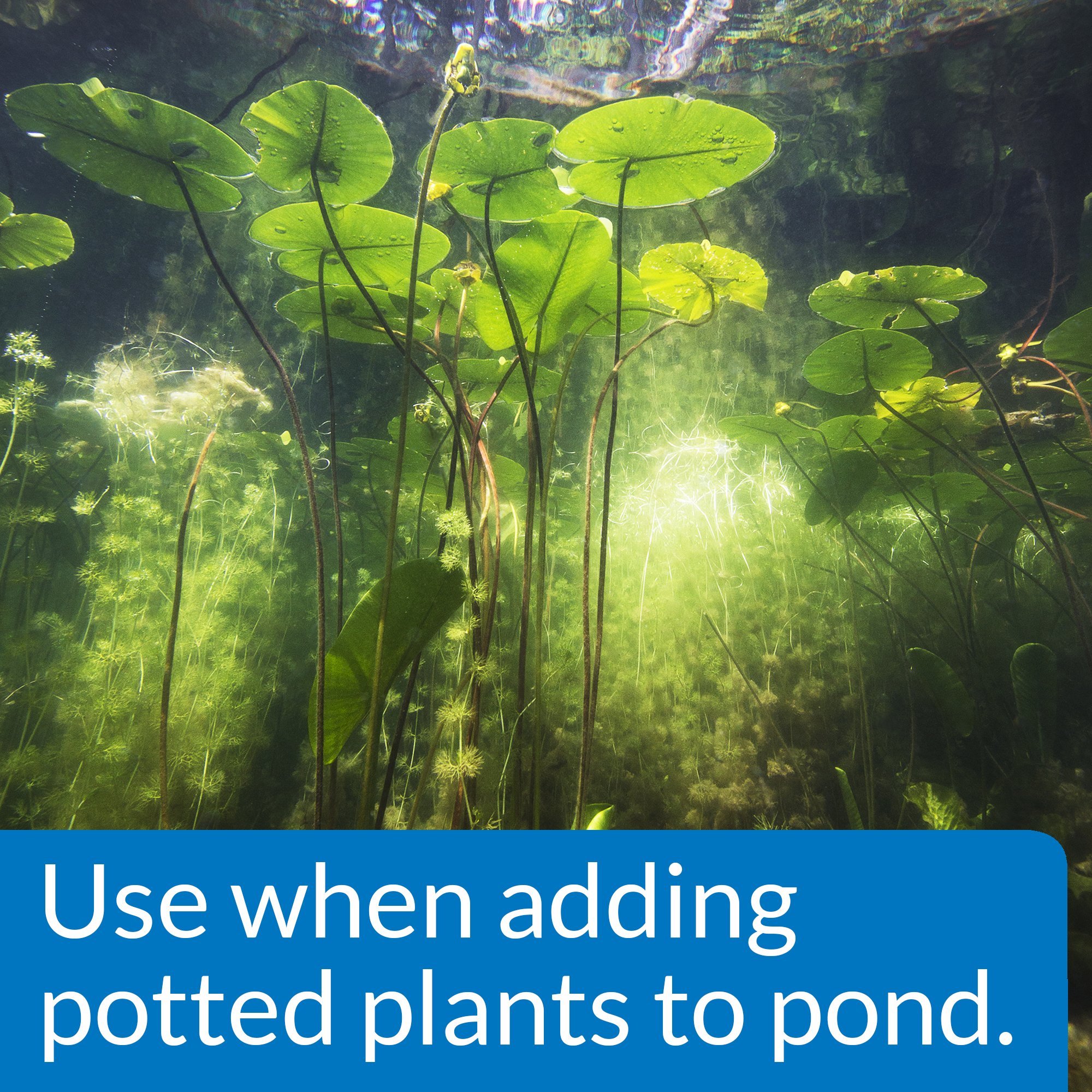 API POND AQUATIC PLANT MEDIA Potting Soil For Pond Plants API POND AQUATIC PLANT MEDIA Potting Soil For Pond Plants