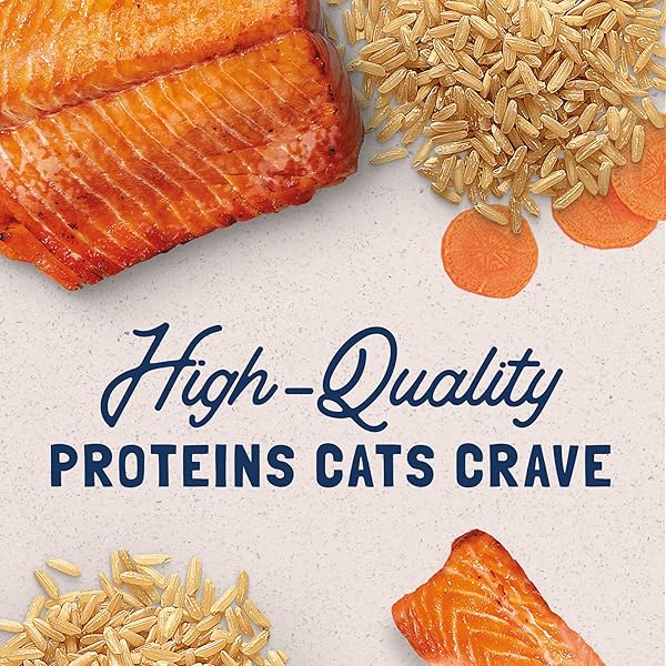 NATURAL BALANCE ORIGINAL ULTRA ADULT WET CANNED CAT FOOD, SALMON RECIPE, 5.5 OUNCE