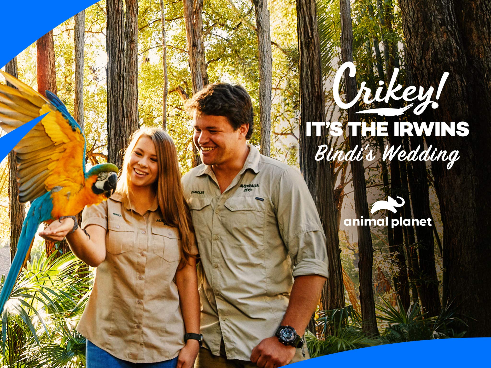 Watch Crikey Its The Irwins Bindis Wedding Special Prime Video