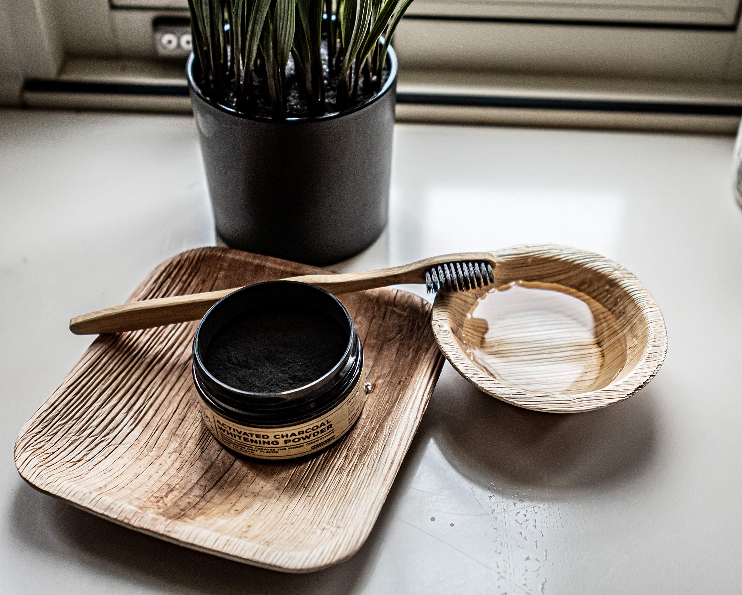 Areca Palm Leaf Plates - Natural Compostable Dinnerware for Picnic, Camping, Party, Wedding, Birthday, Thanksgiving, Christmas - Biodegradable, Microwavable Dining Supplies (25, 6x6 Sq)