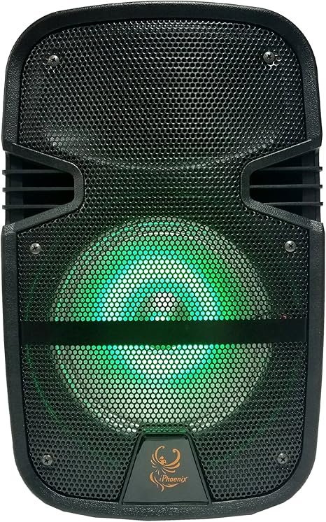 iphoenix karaoke speaker system