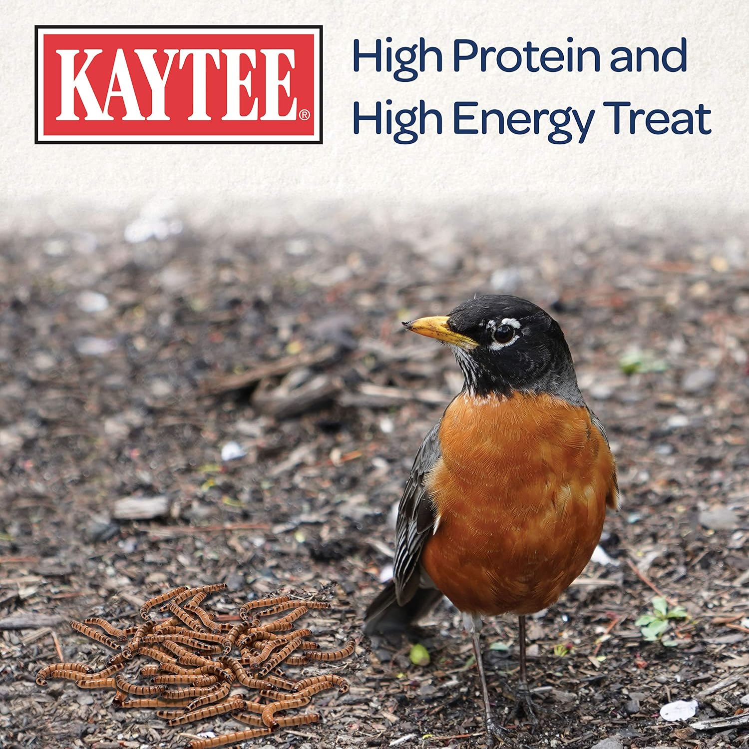 Kaytee Mealworms, 3.5 oz: Pet Supplies