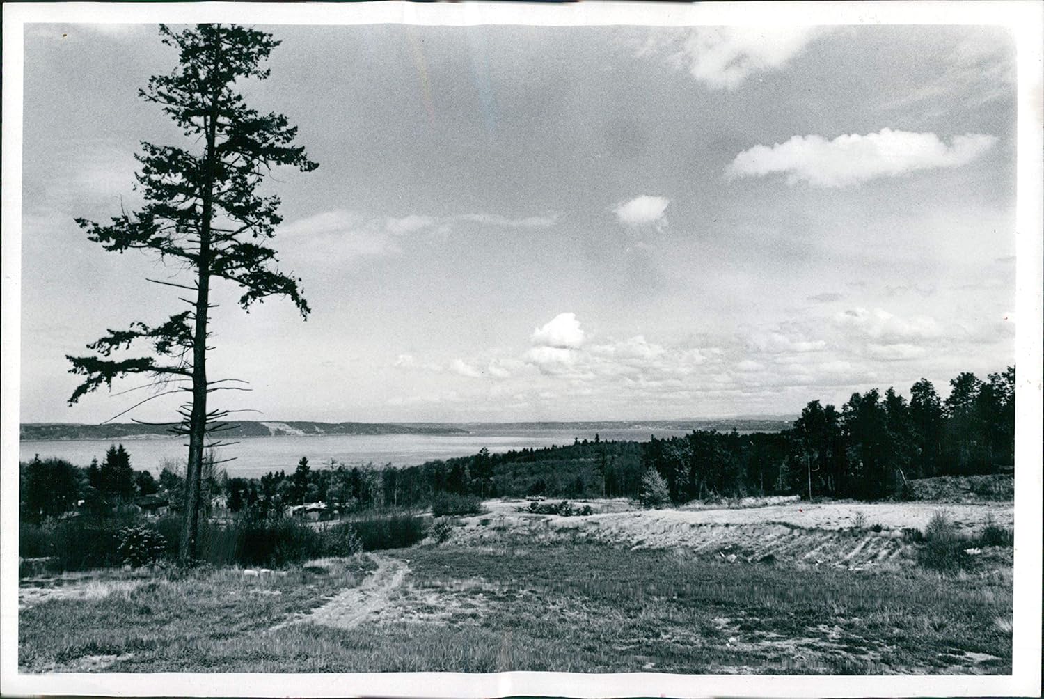 Vintage Photos 1978 State Park Commission Dash Point Acres Dion Beauty Landscape 7X9