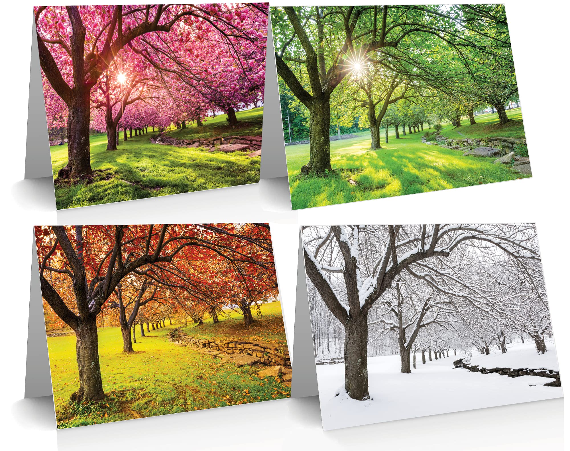 12 x A Note to Say Cards in Each of the Four Seasons: Various Styles (Photo)