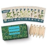 Organic Microgreens Seeds for Sprouting Variety