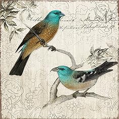 Yosemite Home Decor YF7255B Nesting II Postage Stamp Linen Print Artwork 