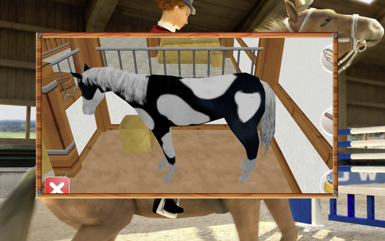 Riding Star 3 – Premium & Childsafe! - Thumbnail 2