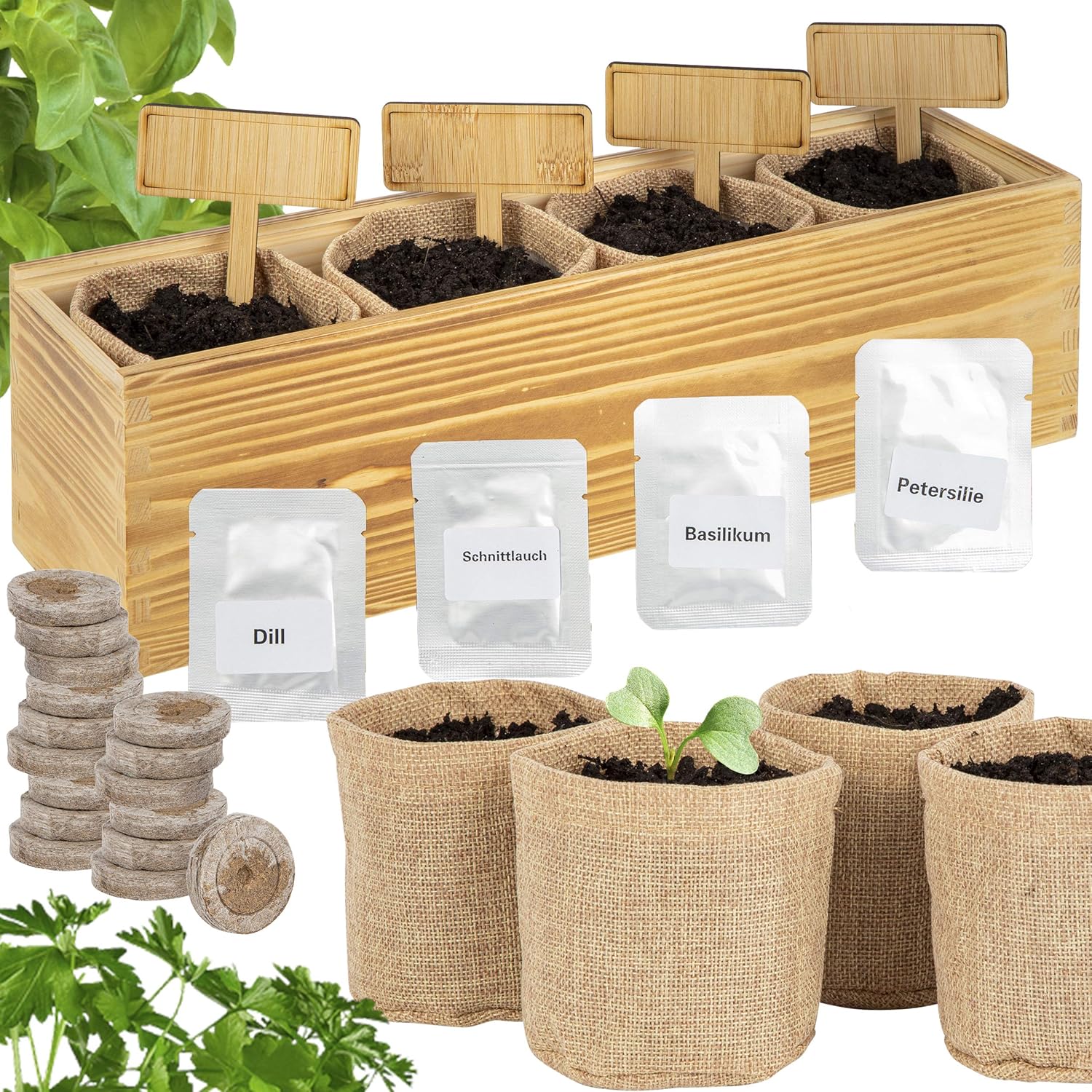 ONVAYA® Kräuter Anzuchtset mit Holzkiste | Indoor Kräutergarten | Grow Kit | Mini-Kräutergarten | Kräutergarten-Set mit Basilikum, Schnittlauch, Petersilie & Dill Samen