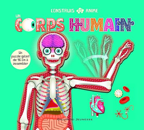 Download Construis et anime un corps humain PDF