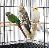 Yaheetech Large Bird Cage Flight Cage 77.5x46.5x46 cm Black view 5