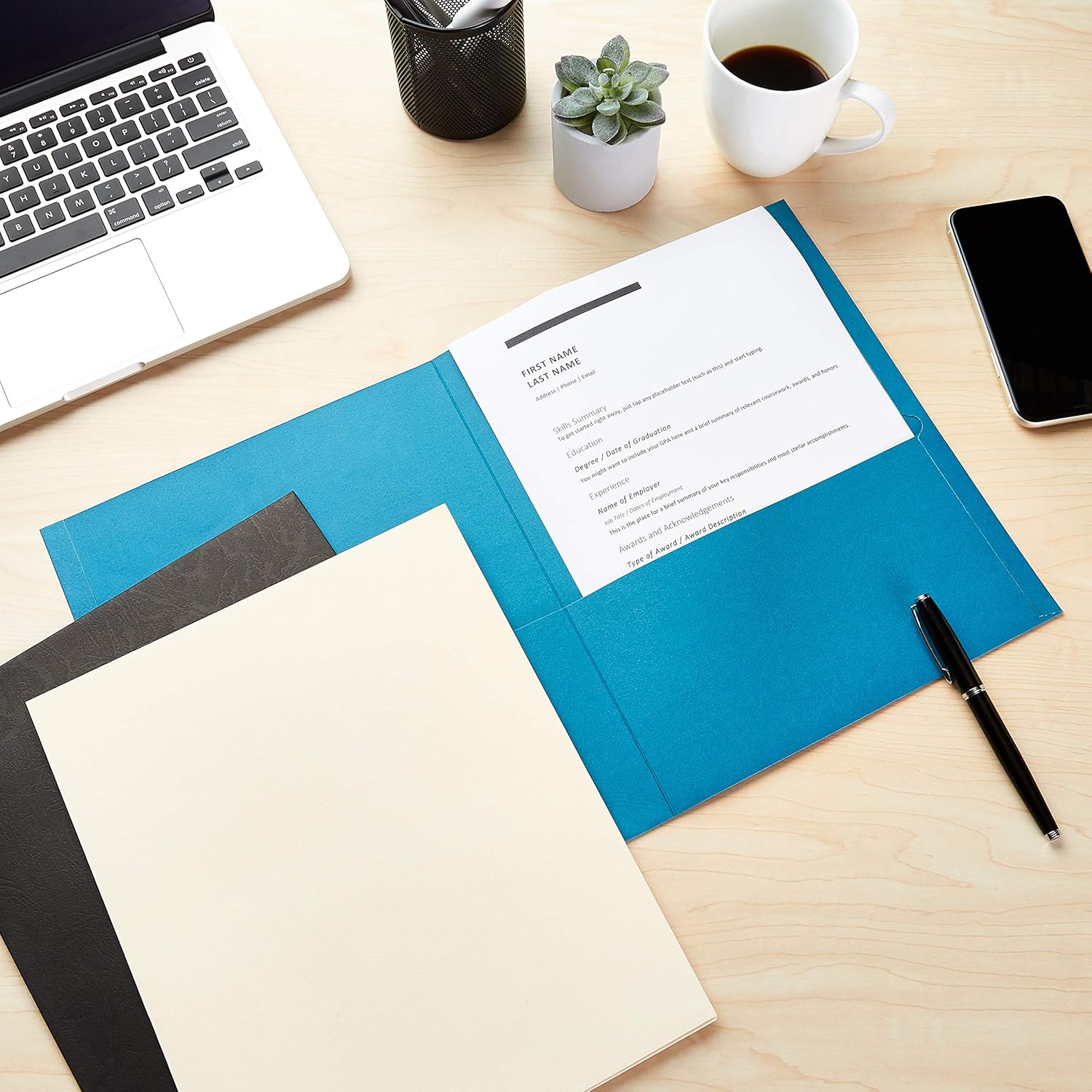 Basics Two Pocket Paper Portfolio, Assorted Colors, 10-Pack : Office Products