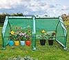 Quictent Updated Super Large Zipper Doors Mini Greenhouse Portable Cloche Green House 71"WX 36"D X 36"H