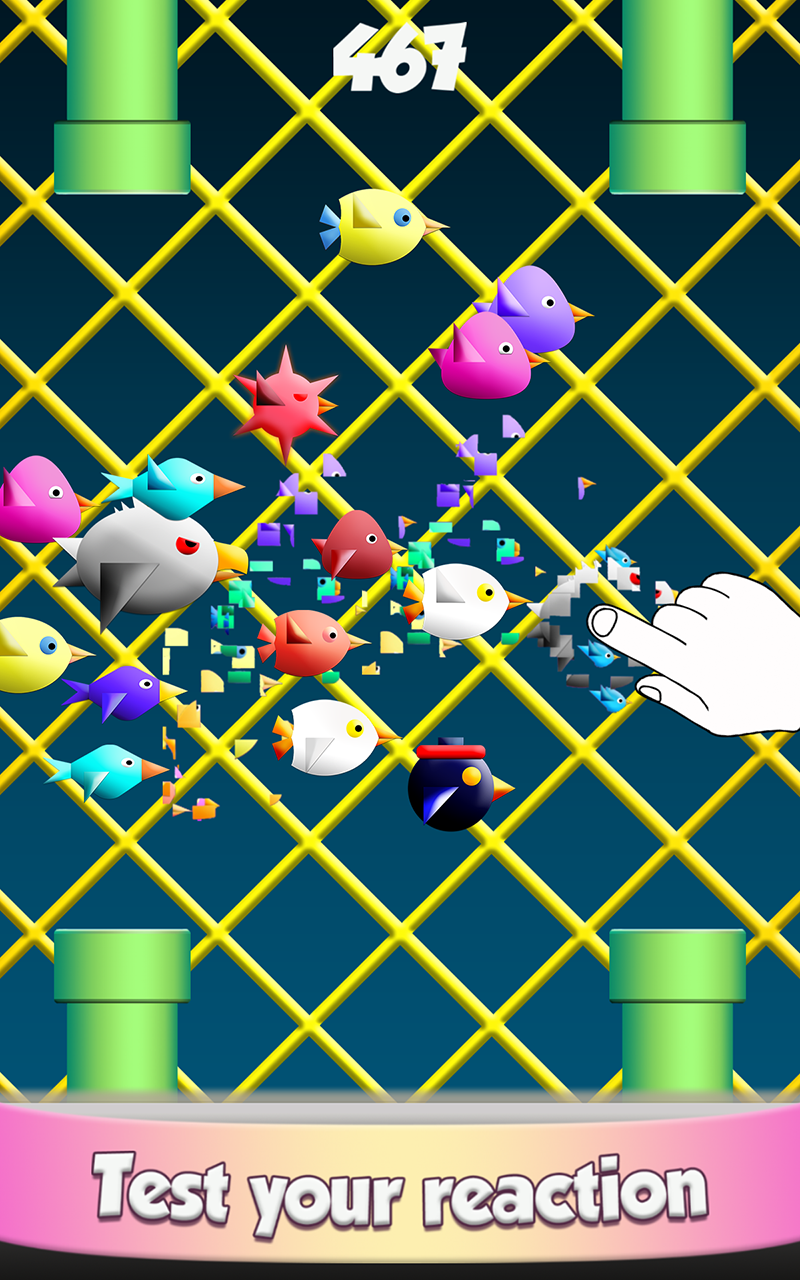 Cool Birds Game Fun Smash Free for Boys, Girls, Kids,Teens Adults