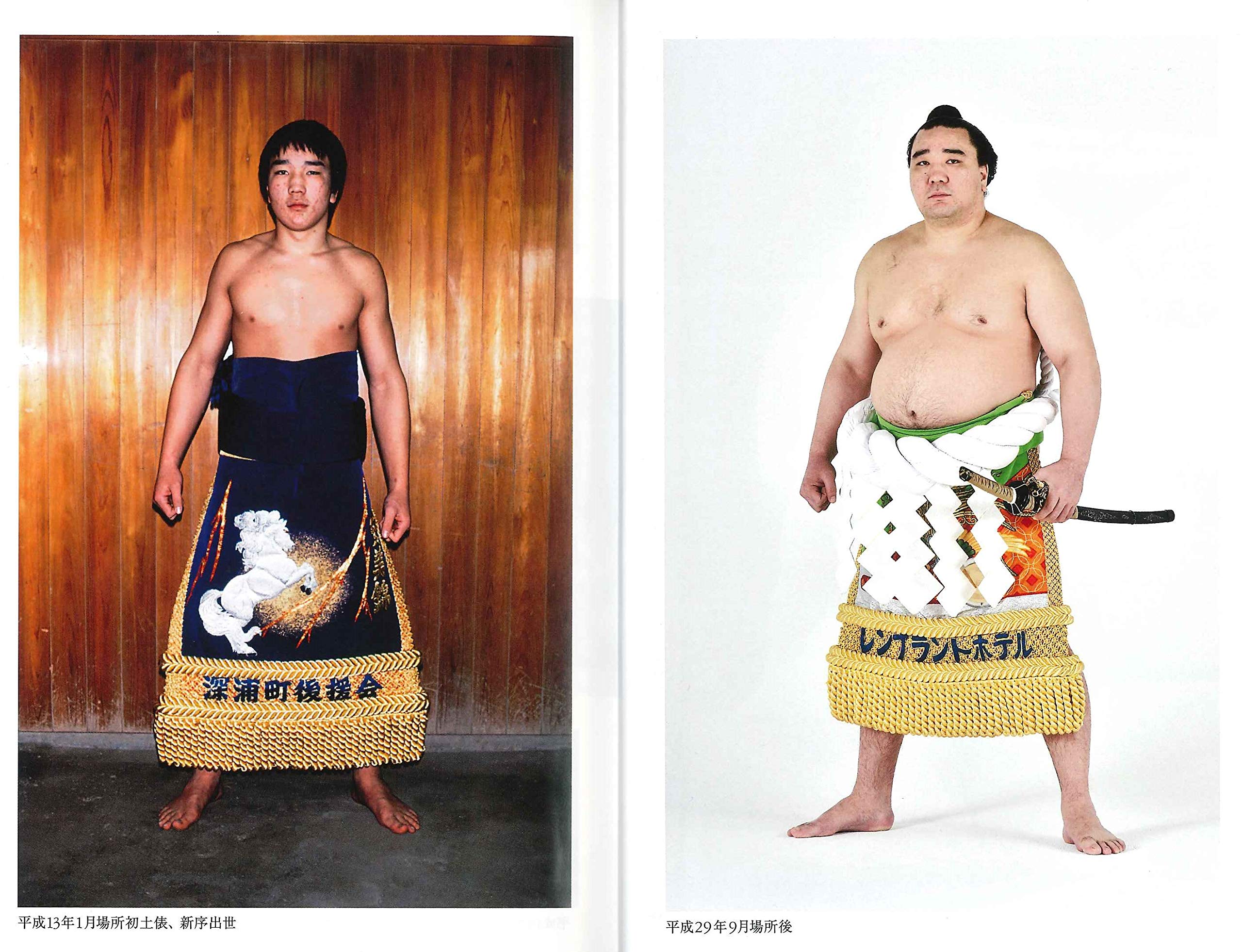 全身全霊 第70代横綱 18年間のけじめ 日馬富士公平 9784583111711 Amazon Com Books