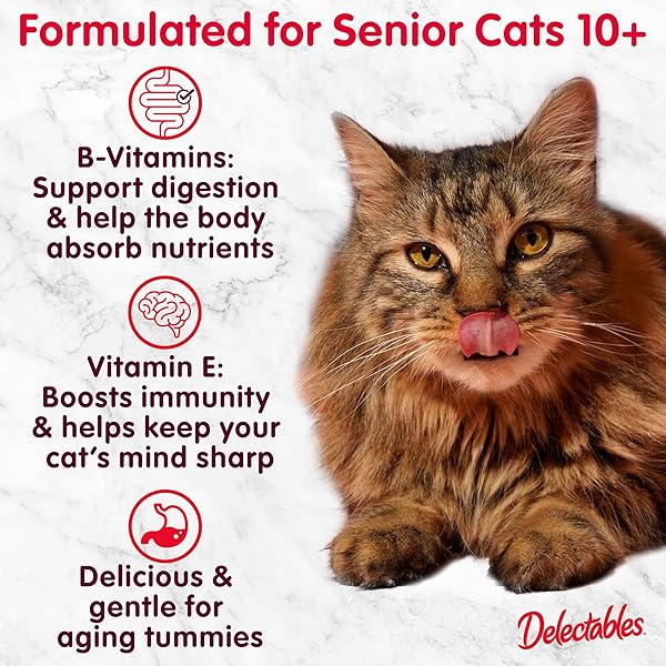 HARTZ DELECTABLES BISQUE LICKABLE WET CAT TREATS WITH TUNA & CHICKEN, SENIOR CATS 10+ YEARS, 1.4 OUNCE (PACK OF 12) – PACKAGING MAY VARY