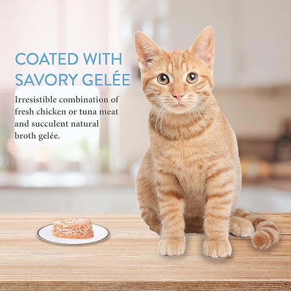 INABA CAT TWIN CUPS TUNA & CHICKEN WITH SCALLOP RECIPE CAT FOOD TOPPER, 2.46 OZ