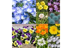 Three Mo Garden | Alternative Lawn Wildflower Blend (1/2 OZ) - Annual & Perennial, Attracts Hummingbirds, Bees, and Butterfli