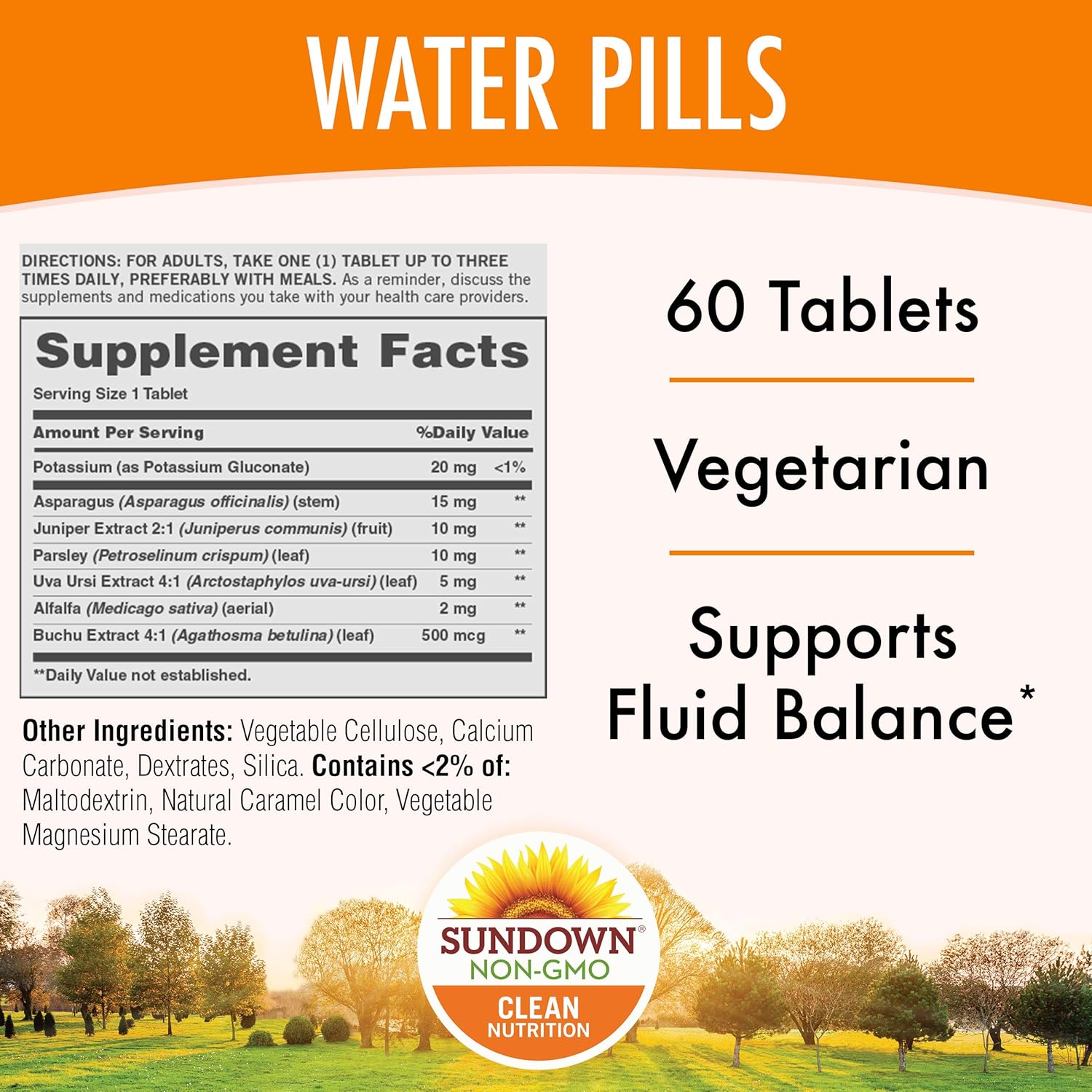 Herbal Water Pills by Sundown, Helps Balance Fluid, with UVA Ursi, Vegetarian, Non-GMO, Free of Gluten, Dairy, Artificial Flavors, 60 Tablets (3-Pack): Health & Personal Care