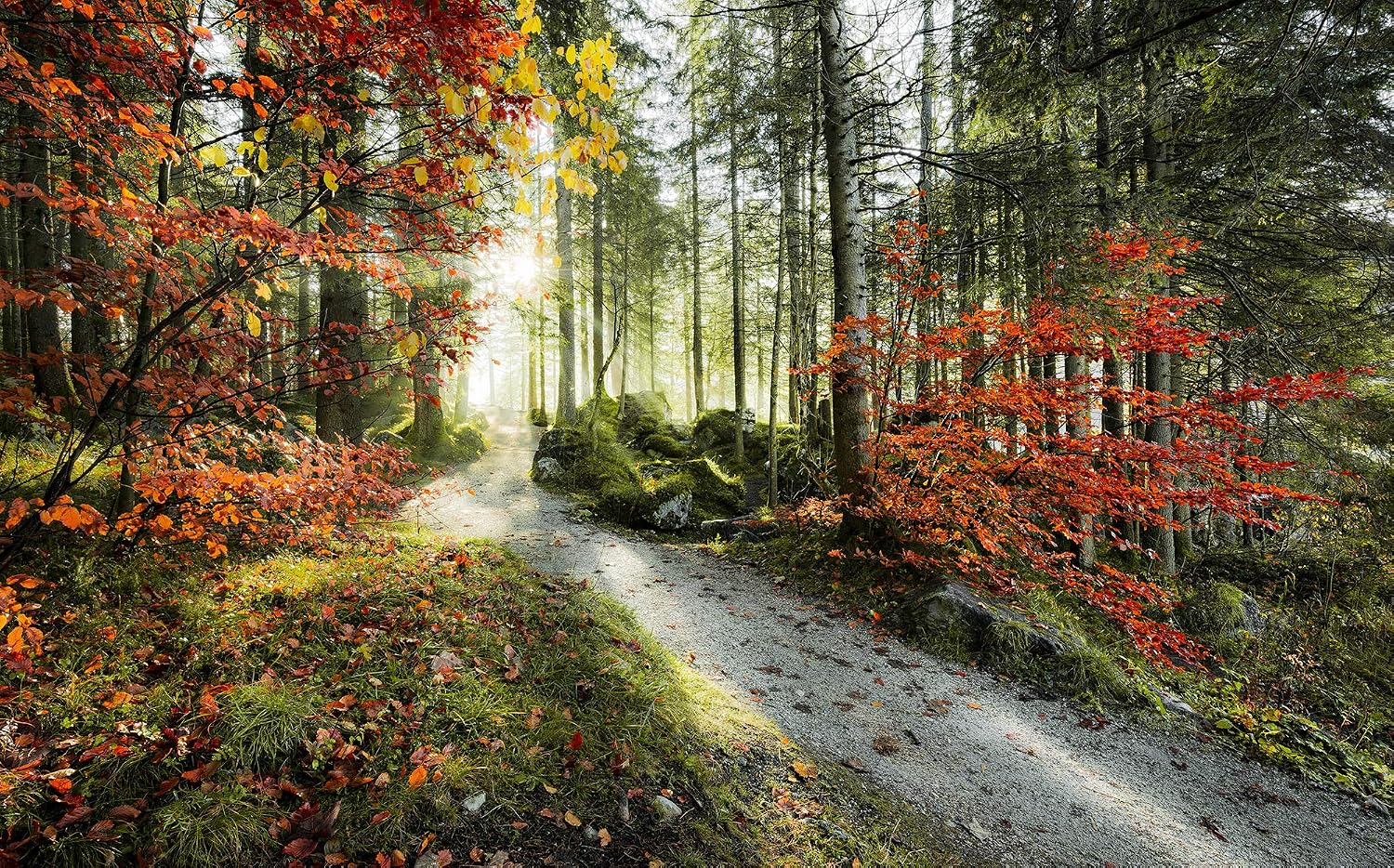 Komar SHX9-031 Non-Woven Photo Wallpaper with Fire Design XXL Decoration Nature Landscape Bedroom Living Room Office Hallway 450 x 280 cm Wide x Height Multi-Coloured - Image 3