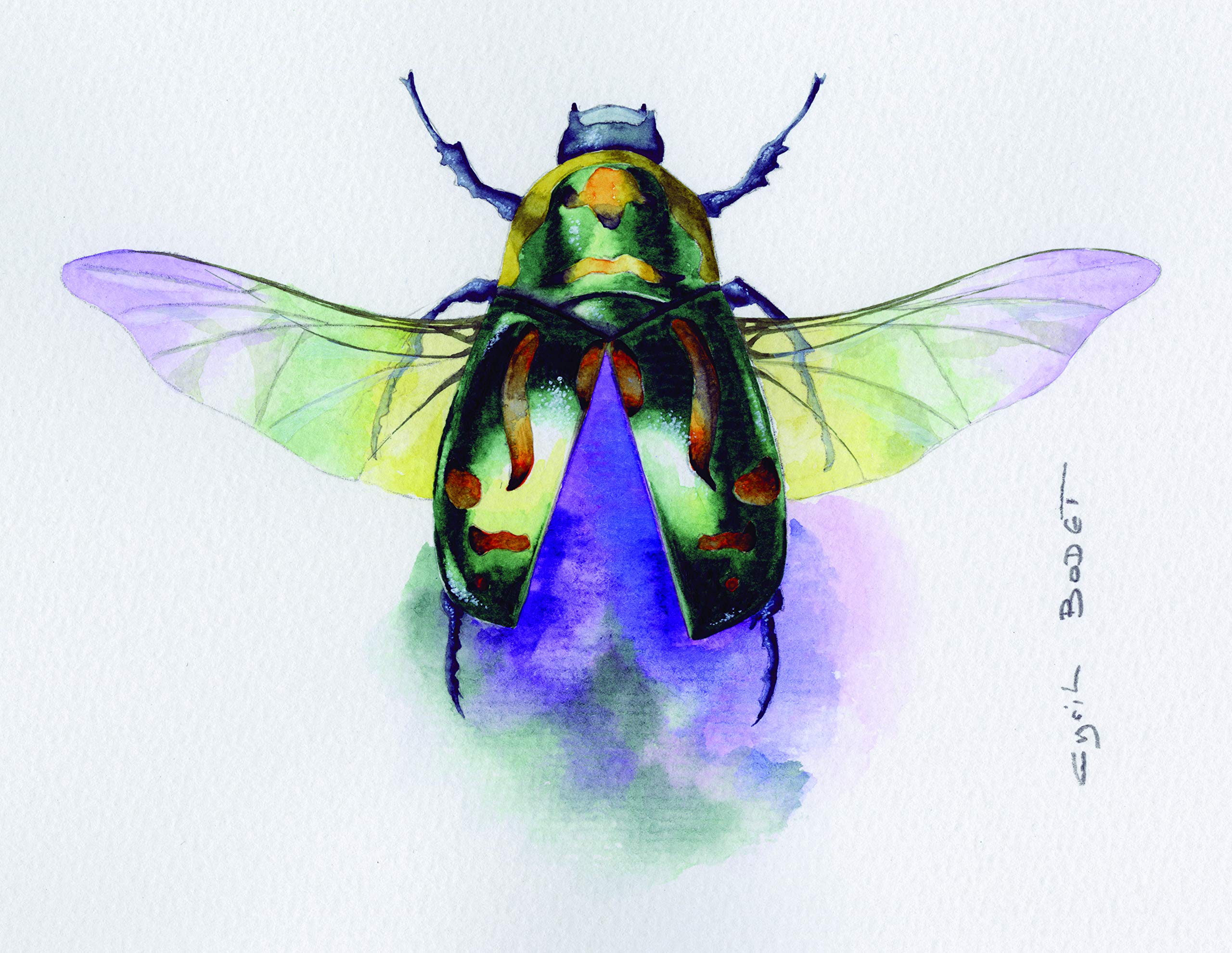 Clairefontaine - Ref 93421C - Etival Cold Pressed Sheets for Watercolour Painting & Drawing (10 Sheets of Paper) - 56 x 76cm - 200gsm Cellulose Art Paper