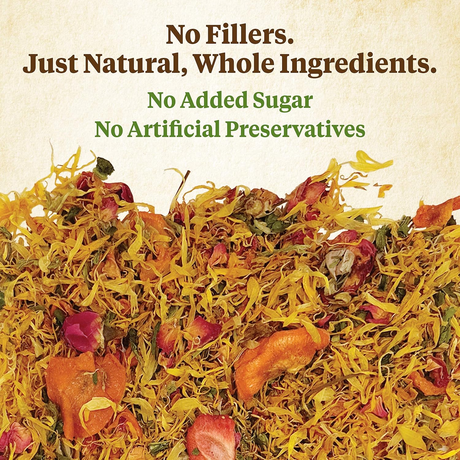 Kaytee Food from The Wild Natural Snack, 1 Ounce : Pet Supplies