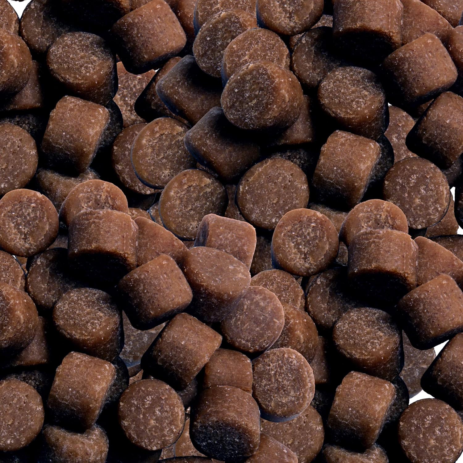 buddy biscuits cat treats