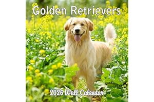 BLUE WOLF CALENDAR COMPANY 2026 Golden Retrievers Wall Calendar