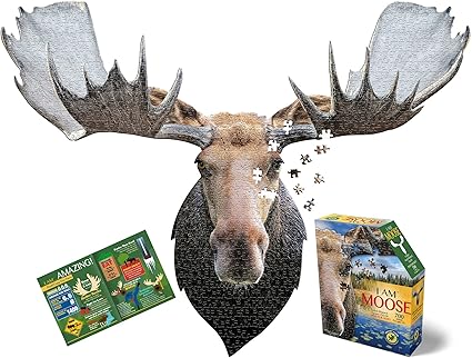 Madd CAPP Games Madd CAPP Puzzle