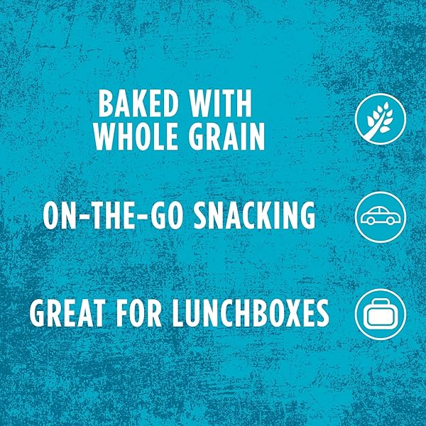 KELLOGG’S SCOOBY-DOO! BAKED GRAHAM CRACKER SNACKS, LUNCH SNACKS, SNACK CRACKERS, CINNAMON (40 POUCHES)