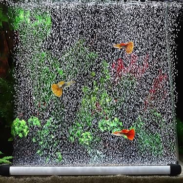 fish tank air accessories square Amazon.com New Releases: The best-selling new & future releases in Aquarium Pump SCROLLER Name:Fire Tiger Oxygen Curtain Berkley Amp Fishing Rod