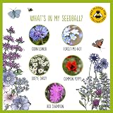 Seedball Wildflower Seed Bombs Set of 5 Tubes Bee Friendly Seeds view 4