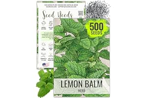 Seed Needs Lemon Balm Seeds for Planting - Non-GMO, Heirloom & Untreated Perennial Medicinal Herb - Plant Indoors/Outdoors Used for Making Calming Tea (1 Pack)