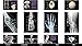 Skeletal Anatomy 3D - Quiz and Reference