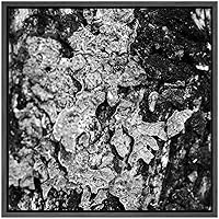 SIGNWIN Framed Canvas Wall Art Aged Oak Tree Bark Nature Texture Photography Minimalism Modern Closeup Dramatic Black and White for Living Room, Bedroom, Office - 16