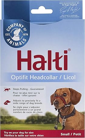 nunbell pet deshedding brush