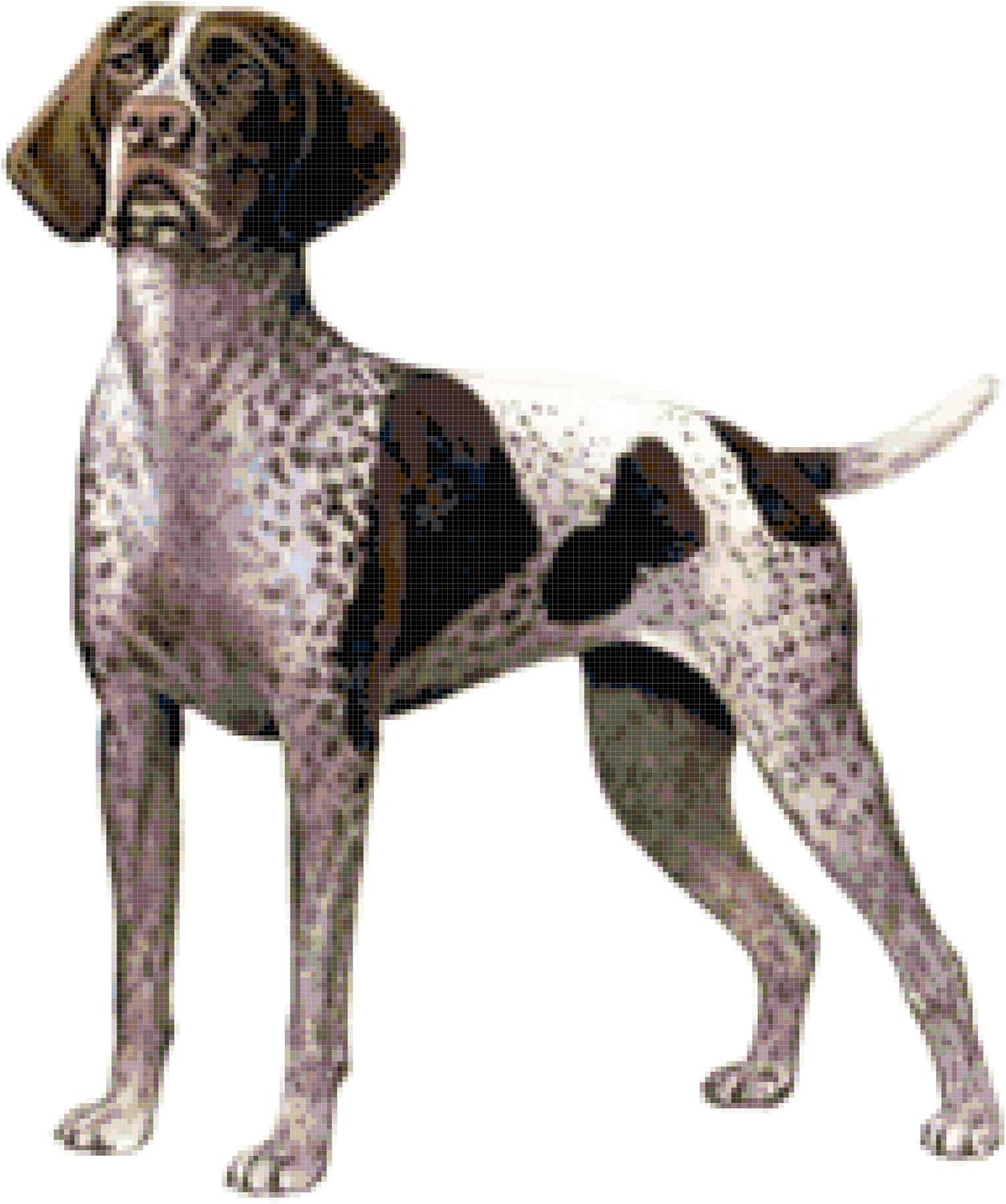 Amazon Com German Shorthaired Pointer Dog Counted Cross Stitch